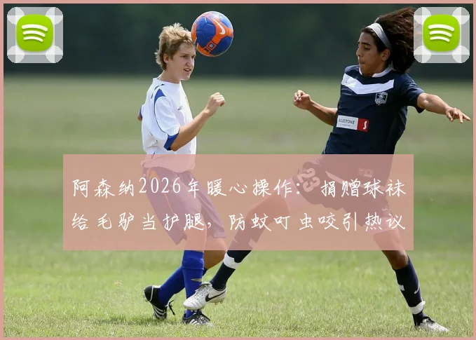 阿森纳2026年暖心操作：捐赠球袜给毛驴当护腿，防蚊叮虫咬引热议，体育用品还能这样利用？