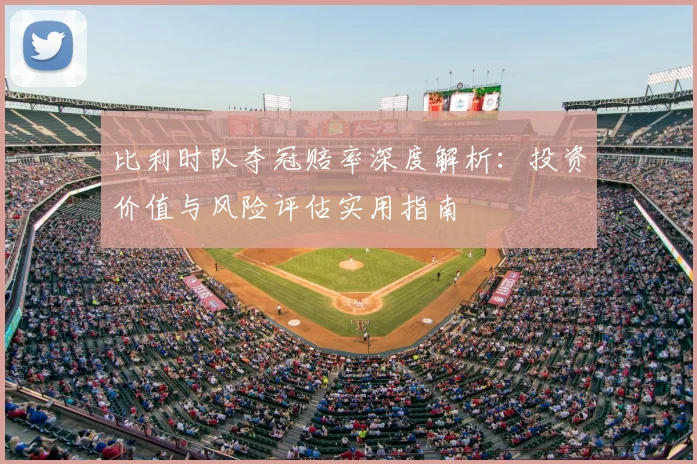 比利时队夺冠赔率深度解析：投资价值与风险评估实用指南