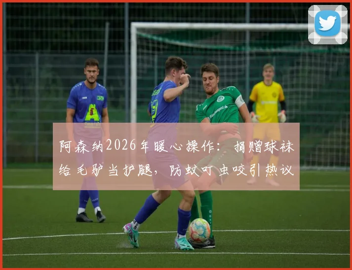 阿森纳2026年暖心操作:捐赠球袜给毛驴当护腿,防蚊叮虫咬引热议,体育用品还能这样利用?
